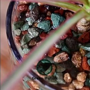 24 KG RAINBOW SUCCULENT CACTUS STONE SOIL tanah kaktus 3-6mm Granular soil