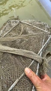 น้ำยาทำความสะอาดกรงกุ้งตาข่ายจับปลา น้ำยาทำความสะอาดตาข่ายจับปลาแบบโยนด้วยมือ น้ำยาทำความสะอาดตาข่าย น้ำยาขจัดตะไคร่น้ำ ตะกอน กลิ่นคาว เครื่องมือตกปลา น้ำยาทำความสะอาดเครื่องมือตกปลาสำหรับเกษตรกรโดยเฉพาะ2500ML