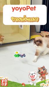 yoyopet : ของเล่นแมว ของเล่นสัตว์เลี้ยง ของเล่นแมวหมุนอัตโนมัติอัจฉริยะ นกบิน ผีเสื้อบินอัตโนมัติ ของเล่นออโต้ หมุน360°