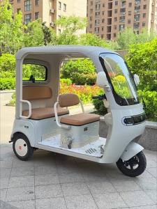 Electric Tricycle Specific Floor Mat