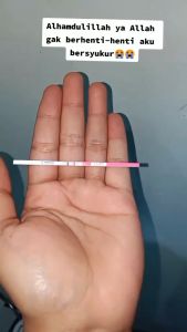 Buah Kesuburan Zuriat Madinah Asli Kehamilan Murni 500gr Promil Sehat Doum Promil Suami Istri