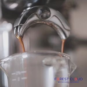 【Hot sales】Forest Cloud Espresso Blend Dark Roast House Blend Freshly Roasted Arabica Coffee Beans Whole Bean Coffee Ground