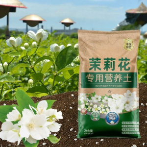 baomafanxi | Đất Giàu Dinh Dưỡng Phù Hợp Với Hoa Nhài