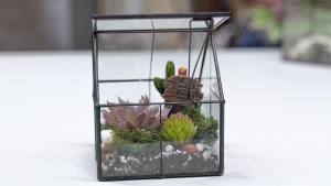 Ferrisland Glass Plant Terrarium Container Wardian Case Indoor Small Succulent Terrarium Planter w/Door for Tabletop Decor DIY - 5.0"x4.3"x4.3"