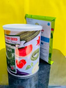 Benih Kacang Panjang BORNEO TAVI dari Cap Bunga Matahari MANTAP