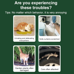 No more cats approaching cat repellent outdoor Rain and sun protection penghalau cat repellent halau kucing Repellent Gel Anti-pee Cat Repeller extraction is safe and non-toxic Harmless to pets Cat Repellant for Home & Car 驱猫膏 驱猫神器 赶猫神器