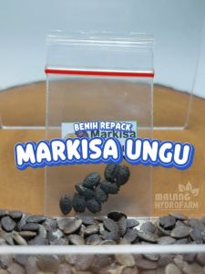Benih Markisa Ungu Unggulan Berkualitas biji bibit repack ungu purple passion hydroponik hidroponik tanaman berbiji buah pot