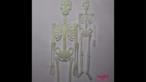 Dekorasi Tengkorak & Gantungan Tengkorak Glow In The Dark