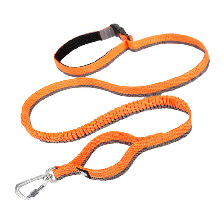 TRUELOVE Elastic Dog Leash Rope Nylon Leash Running