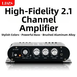 BONINGYU | 12V Car and Home Bass Amplifier