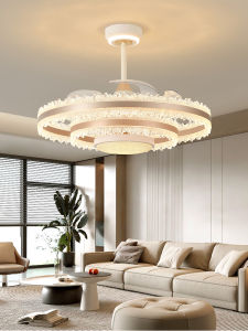 Aiskdan | Modern Minimalist Ceiling Fan Light