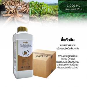 ปุ๋ยมันสำปะหลัง ยกลัง 12 ขวด ฮอร์โมนเร่งราก ระเบิดหัวมันสำปะหลัง รากขยาย สร้างแป้ง หัวใหญ่