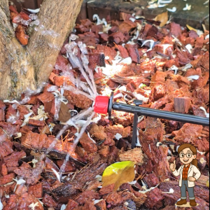 371-5 ขาปักท่อน้ำหยด สายไมโคร ใช้ได้กับสายไมโครขนาด 3-7 มม.