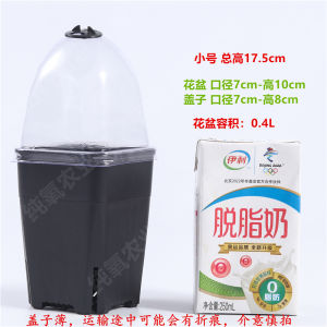 Square Succulent Planter Black High Moisture Control Side Opening Lid Cover Pot for Epiphyllum And Haworthia Plants