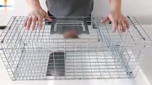 Foldable Cat Cage Trap Automatic Rescue Pet Cage Cat Catch Artifact New Sensitive Catch Rats Cats Rabbits Artifact