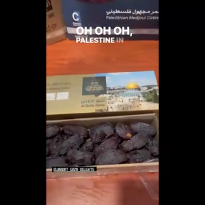 0.5Kg Premium Jumbo Grade (A) Palestinian Medjoul Dates Kurma New Arrival