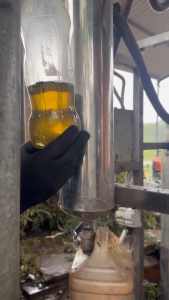 Bi lăn tinh dầu tràm tinh dầu tràm Huế  đậm đặc dùng hít dầu tràm cho bé đuổi muỗi tránh gió Mê Hường 10ml