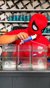 Deluso X Bluecore BlueMed Cairan Antijamur Antibiotik Ikan Atasi White Spot Fin Rot Infeksi Jamur