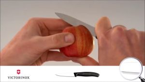 [Best Knife in Malaysia] Victorinox 8CM Swiss Classic Black Paring Knife with Straight Edge | Spear Point | 3.25 inch