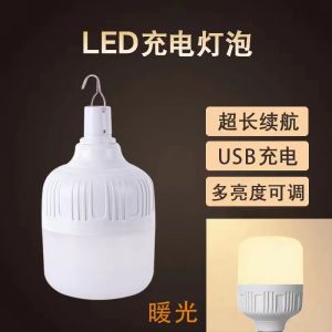 Handmade Chinese Willow Wood Handheld Lantern Photography Prop Childrens Hanfu Costume Ancient Style round Palace Lamp Light