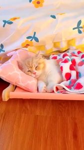 เสริมสร้างความสวยงามของแมว พร้อมส่ง ที่นอนแมว เปลแมวแบบแขวน เตียงแมว แข็งแรง ติดตั้งง่าย ที่นอนหลับสบาย เตียงแขวนหน้าต่างแมว