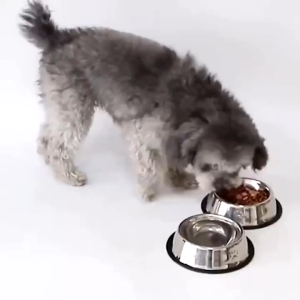 16-30cm  ชามอาหารสแตนเลส ชามอาหารแมว ชามอาหารสุนัข ชามอาหารแมว ถ้วยอาหารสุนัข ชามอาหารสัตว์เลี้ยง ชามอาหารแมว สเตนเลส ชามอาหารสแตนเลส าหารสัตว์เลี้ยง