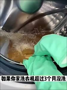 CHEZHURIJI | Detergent Machine Tub Cleaner Cleaning Stain Removal Disinfection