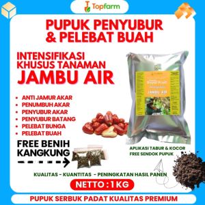 Pupuk Pelebat Buah Jambu Air / Pupuk Penyubur Pohon Jambu Air / Pupuk Booster Buah Jambu Air / Pupuk Penyubur Buah Jambu Air / Pupuk Jambu Air