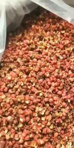 Xuyên Tiêu Đỏ - Hoa Xuyên Tiêu - Hoa Tiêu Tứ Xuyên Siamese pepper