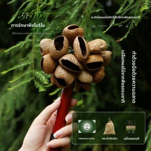 มุ้งมิ้นต์ สร้อยคอกระดูกสัตว์ ดนตรีอุปกรณ์ วัสดุอื่นๆ สำหรับโยคะ สมาธิ ดนตรีประกอบ แหล่งกำเนิด จีนแผ่นดินใหญ่