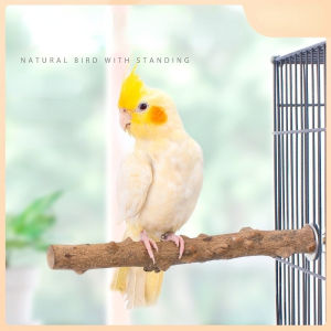 Natural Bird Perches Wooden Parrot Perch Sets Bird Perches for Cage Parakeet Platform Hammock Paw Grinding Fork Chewing Stick