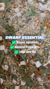 【PETTER】Dwarf Essential - Premium Dwarf Hamster Food | Small Seed Mix | For Winter White Roborovski & Campbell