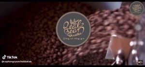Cà phê cho quán – Dream S16 Combo 2 túi 1kg tiết kiệm – REAL BEAN COFFEE