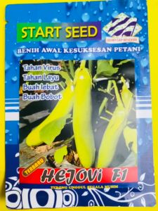 Benih Terong Hijau HEJOVI F1: Kualitas & Keunggulan