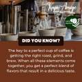 [Kape Amigo] Kapeng Barako [in Thick Plastic] Premium Batangas Coffee Beans & Grounds. 