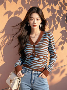 เสื้อยืดลายทางสีบล็อกสุดเก๋สำหรับผู้หญิง แฟชั่นฤดูใบไม้ร่วง/ฤดูหนาว เสื้อชั้นในแบบเข้ารูป แขนยาว ปกติ คอวี กระดุม