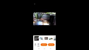 Barbarous Growth high quality plastic turtle tank SG-04