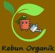Kebun Organik 