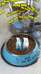 [CHIẾT] thức ăn hạt từ Hàn Quốc hiệu Cats On 1kg dành cho mèo - T3 PETS SHOP