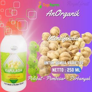 Pupuk Buah Super Lebat Kapulaga / Pupuk Pelebat Buah Kapulaga / Pupuk Buah Kapulaga / Pupuk Tanaman Buah Kapulaga / Pupuk Cair Pelebat Buah Kapulaga