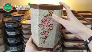 Pot Bonsai Keramik Segi Enam Tinggi