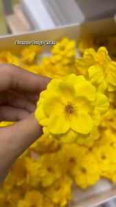 ECER 5KUNTUM Bunga Sabun Sakura - Soap Flower - Bunga Kerajinan BS012