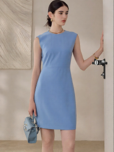 Roey s house | Stylish Minimalist Pure Color Round Neck Sleeveless Elegant Office Style A-Line Dress