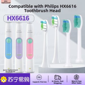 Philips Compatible Electric Toothbrush Heads Adult Gum Care Normal Specification L3101 for HX6616/6631/6610/6620/6630/40