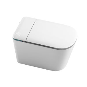 TEM | Foam Shield Automatic Health Assist Smart Toilet