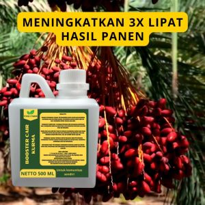 Pupuk Berkualitas Tinggi untuk Kurma