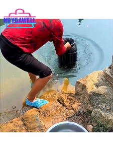 Melo home Repairable fish trap Durable fishing cage Crab Shrimp Cage Fish fish net for fishing Plastic lambat