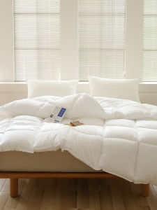 Thickened Hotel Quality Comforter Soft Warm All Seasons Use Polyester Fiber Filled Lightweight Spring Autumn Winter Summer Blanket