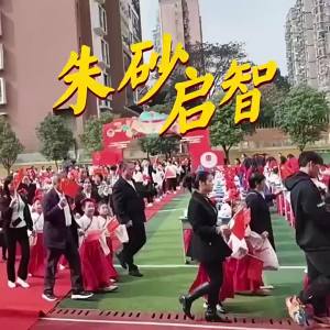 10/20/30ml Vermilion Liquid Ink Students Calligraphy Supplies Spring Couplet Calligraphy Painting Practice Art Red Water Color