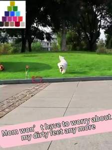 15 Pack Self Adhesive Bandage Wrap 2 Inch x 5 Yards Non-Woven BandageVet Wrap Breathable Elastic Self-Adherent Cohesive Wrap for Stretch Athletic Sports Wrist Ankle (Mix)